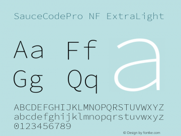 Sauce Code Pro ExtraLight Nerd Font Plus Font Awesome Plus Octicons Plus Pomicons Windows Compatible Version 2.010;PS 1.000;hotconv 1.0.84;makeotf.lib2.5.63406 Font Sample