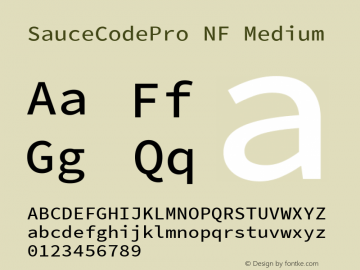 Sauce Code Pro Medium Nerd Font Plus Font Awesome Plus Octicons Plus Pomicons Mono Windows Compatible Version 2.010;PS 1.000;hotconv 1.0.84;makeotf.lib2.5.63406 Font Sample