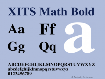 XITS Math Bold Version $version图片样张
