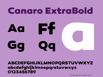 Canaro-ExtraBold Version 1.000图片样张