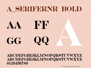 a_SeriferNr Bold 01.03图片样张