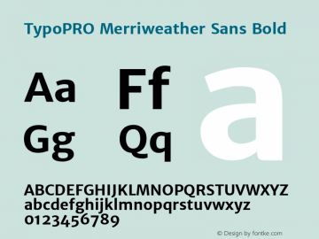 TypoPRO Merriweather Sans Bold Version 1.006; ttfautohint (v1.4.1) -l 6 -r 50 -G 0 -x 11 -H 220 -D latn -f none -w 