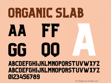 Organic-Slab Version 1.000;PS 001.001;hotconv 1.0.56 Font Sample