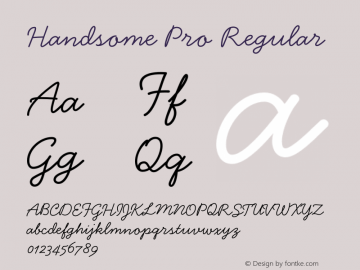 HandsomePro-Regular Version 1.000;PS 001.000;Core 1.0.38 Font Sample