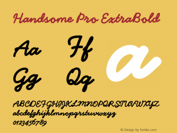 HandsomePro-ExtraBold Version 1.000;PS 001.000;Core 1.0.38图片样张