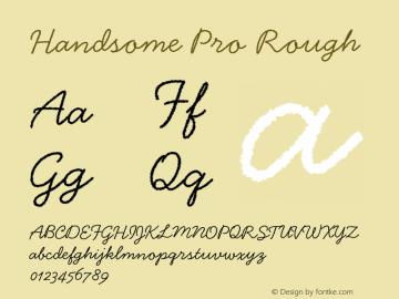 HandsomePro-Rough Version 1.000;PS 001.000;Core 1.0.38 Font Sample