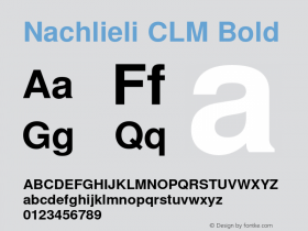 Nachlieli CLM Bold Version 0.131图片样张