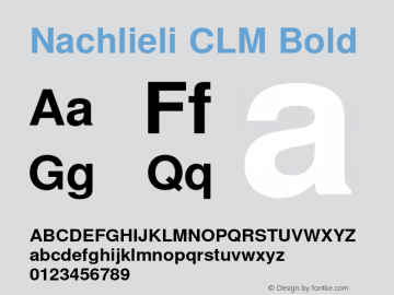 Nachlieli CLM Bold Version 0.131 Font Sample
