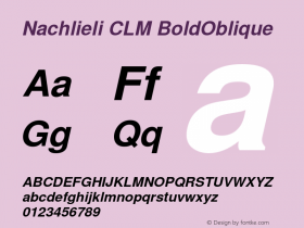 Nachlieli CLM Bold Oblique Version 0.131图片样张