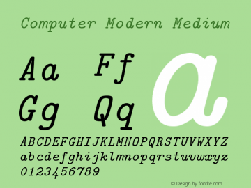 Computer Modern Typewriter Italic Version 0.3图片样张