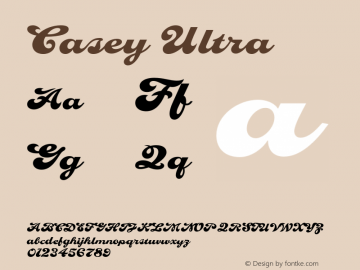 Casey-Ultra Version 1.000;PS 001.000;hotconv 1.0.38 Font Sample