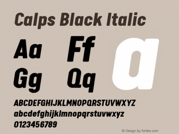 Calps Black Italic Version 1.000图片样张