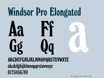 WindsorPro-Elongated Version 1.00图片样张