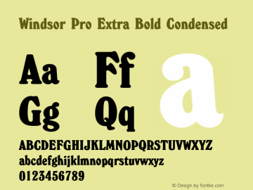 WindsorPro-XBoldCondensed Version 1.00 Font Sample