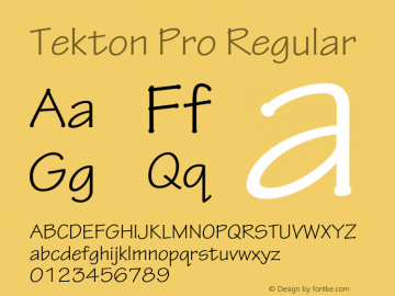 TektonPro-Regular Version 2.073;PS 2.000;hotconv 1.0.70;makeotf.lib2.5.5900 Font Sample