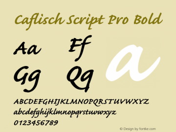 CaflischScriptPro-Bold Version 2.115;PS 2.000;hotconv 1.0.70;makeotf.lib2.5.58329图片样张