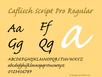 CaflischScriptPro-Regular Version 2.115;PS 2.000;hotconv 1.0.70;makeotf.lib2.5.58329 Font Sample