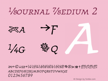 Journal-Medium2 001.000图片样张