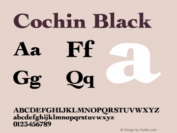 CochinBlack 001.000图片样张