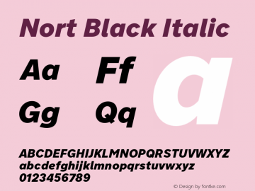 Nort Black Italic Version 7.504; 2017; Build 1035图片样张