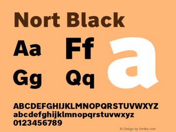 Nort Black Version 7.504; 2017; Build 1027 Font Sample