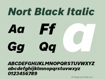 Nort Black Italic Version 7.504; 2017; Build 1027图片样张