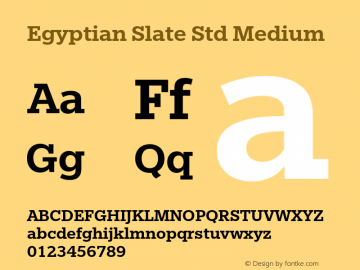 EgyptianSlateStd-Medium Version 1.000图片样张