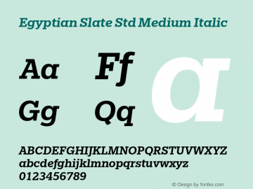 EgyptianSlateStd-MediumItalic Version 1.000图片样张