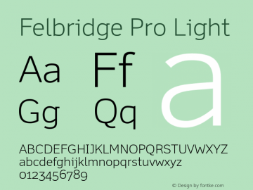 FelbridgePro-Light Version 1.100图片样张