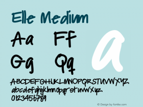 Elle Medium Version 001.000 Font Sample