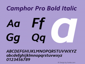 Camphor Pro Bold Italic Version 1.100图片样张