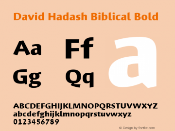 David Hadash Biblical Bold Version 1.000图片样张