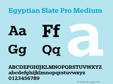 Egyptian Slate Pro Medium Version 1.000图片样张