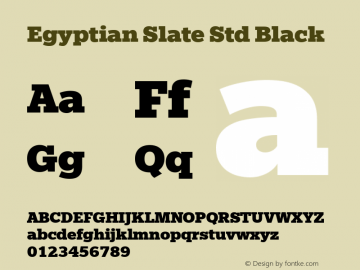 Egyptian Slate Std Black Version 1.000图片样张