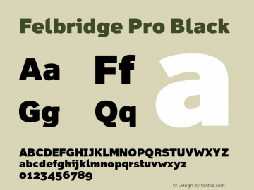 Felbridge Pro Black Version 1.100 Font Sample