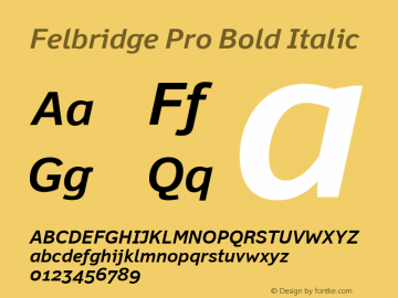 Felbridge Pro Bold Italic Version 1.000图片样张