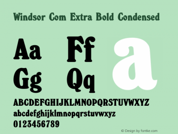 Windsor Com Extra Bold Condensed Version 1.01 Font Sample
