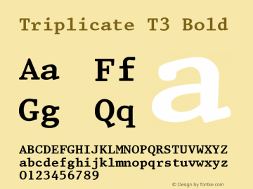 Triplicate T3 Bold 1.189 Font Sample