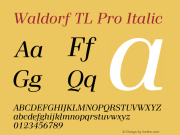 WaldorfTLPro-Italic Version 1.00; 2009图片样张