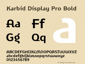 KarbidDisplayPro-Bold Version 7.504; 2011; Build 1022 Font Sample