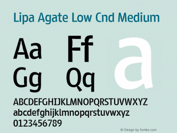 Lipa Agate Low Cnd Medium Version 1.000;PS 001.000;hotconv 1.0.70;makeotf.lib2.5.58329 DEVELOPMENT图片样张