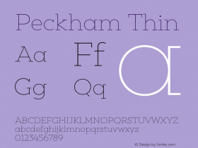 Peckham Thin Version 1.001;PS 001.001;hotconv 1.0.88;makeotf.lib2.5.64775图片样张