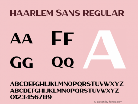 Haarlem Sans Version 1.000 Font Sample