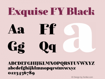 ExquiseFY-Black Version 1.902图片样张