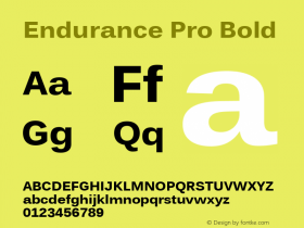 Endurance Pro Bold Version 1.00 Font Sample