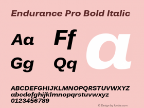 Endurance Pro Bold Italic Version 1.00 Font Sample