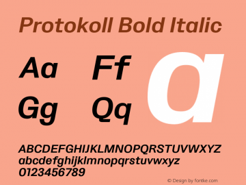 Protokoll Bold Italic Version 1.000;PS 001.000;hotconv 1.0.88;makeotf.lib2.5.64775 Font Sample