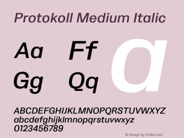 Protokoll Medium Italic Version 1.000;PS 001.000;hotconv 1.0.88;makeotf.lib2.5.64775 Font Sample
