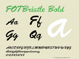 FOTBristleBold Version 1.500图片样张