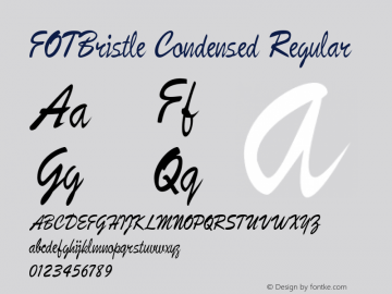 FOTBristle-CondensedRegular Version 1.500图片样张